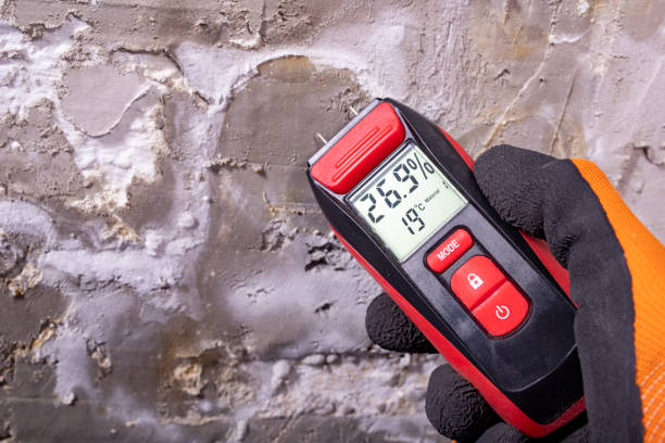 Best Residential Mold Removal  in Maywood Park, OR